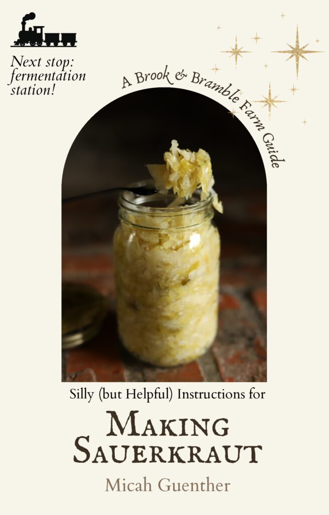 Making Sauerkraut